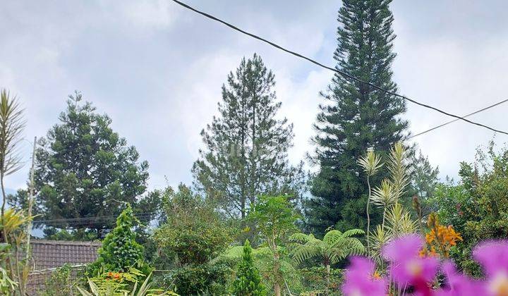 Dijual Rumah Hook /Villa di Cipanas, Kondisi terawat, lokasi relatif dekat dengan Kota Bunga dan Cibodas
 15