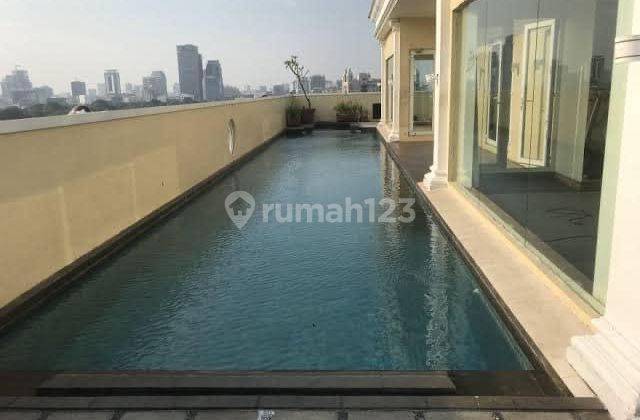 Apartemen Mewah Harga Murah Menteng Jakarta Pusat Bener Bener Homy 2