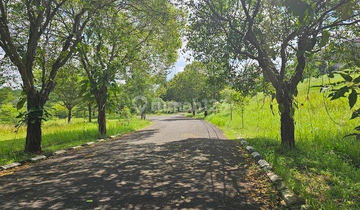Tanah Harga Termurah Komplek Bukit Cinere Indah 2