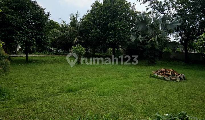 Tanah luas di Pamulang - peluang emas untuk investasi masa depan