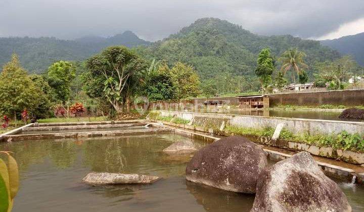Nah ini yg menyatu dg alam tapi bukan di hutan 3