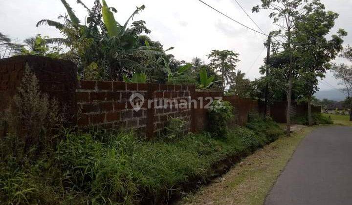 Nah ini yg menyatu dg alam tapi bukan di hutan 8
