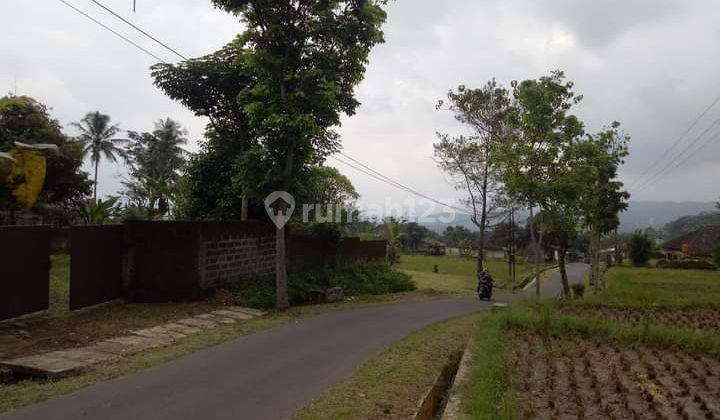 Nah ini yg menyatu dg alam tapi bukan di hutan 9