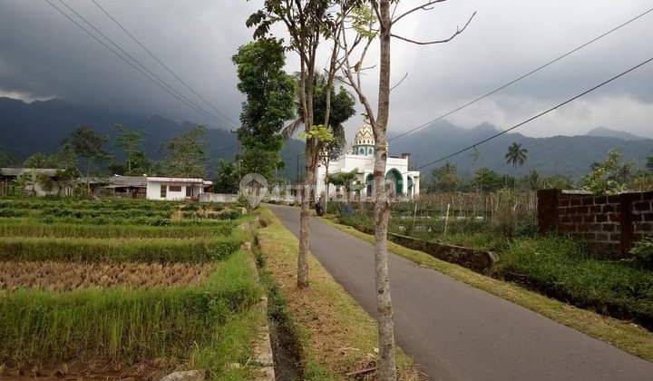 Nah ini yg menyatu dg alam tapi bukan di hutan 10
