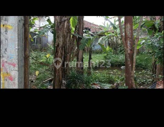 Jual tanah di cipanas gadog dkt komplek villa tuan bong 2