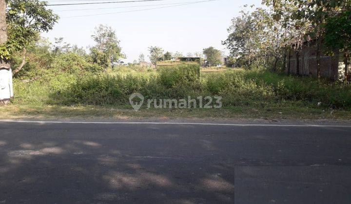 DIJUAL TANAH DAKON NGRASEH DANDER BOJONEGORO RON.A1825 1