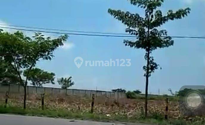 Dijual Tanah Nasional Mrutuk Utara Widang Tuban Ron.a2092 2