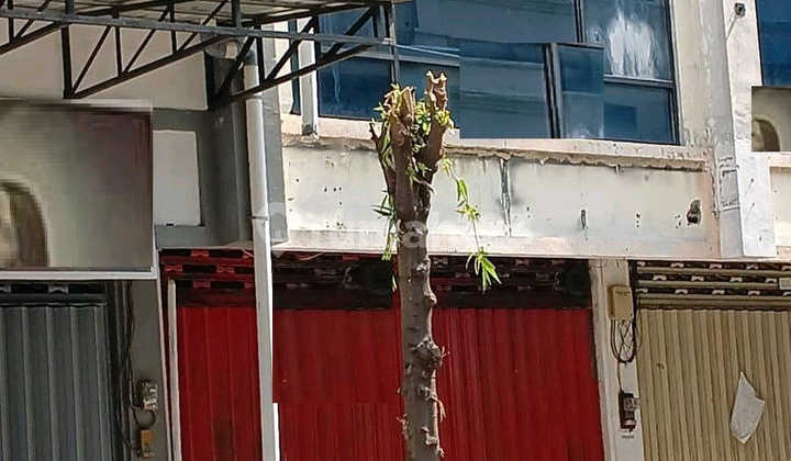 Dijual Ruko Rungkut Megah Raya Surabaya Ron.a2429 Dijual Ruko Rungkut Megah Raya Surabaya Ron.a2429