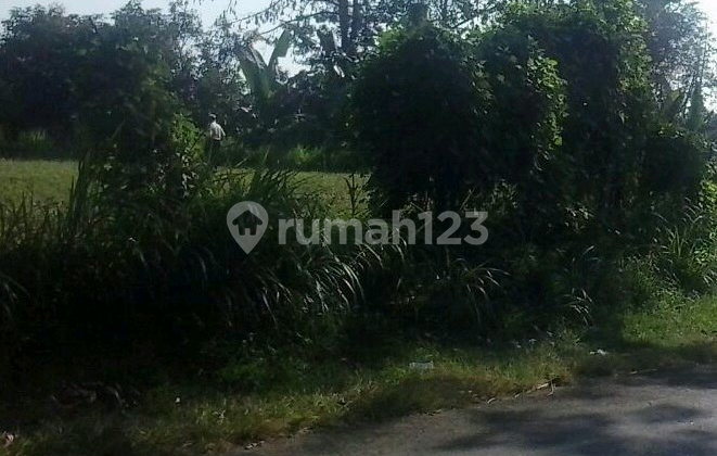 For Sale Land Lawean Sukapura Probolinggo Lot.a3015