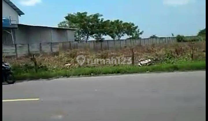 Dijual Tanah Nasional Mrutuk Utara Widang Tuban Ron.a2092 1