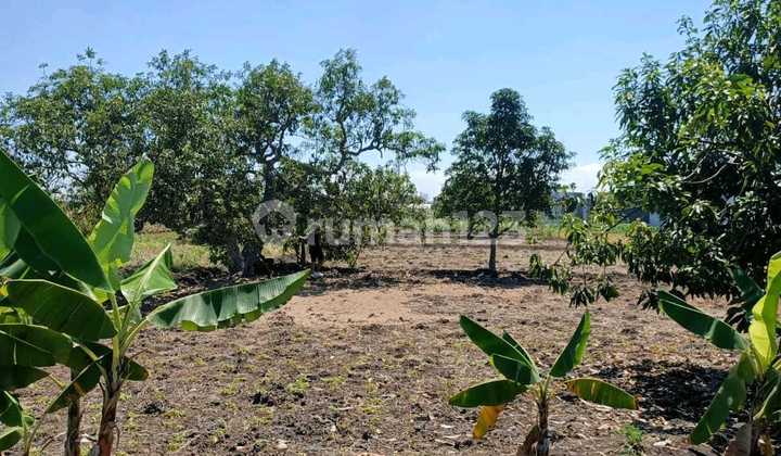 Dijual Tanah Alas Malang Sambikerep Surabaya Ron.a2727