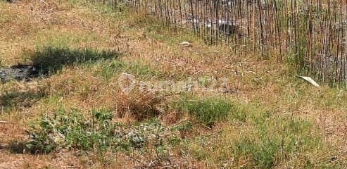 Disewakan Tanah Gayung Kebonsari Manunggal Injoko Surabaya Ron.a1281 Disewakan Tanah Gayung Kebonsari Manunggal Injoko Surabaya Ron.a1281