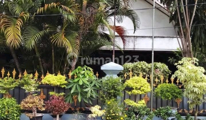 Dijual Rumah Semolowaru Selatan Sukolilo Surabaya Ron.a2981 Dijual Rumah Semolowaru Selatan Sukolilo Surabaya Ron.a2981