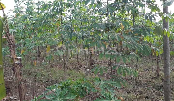Pabrik Dan Rumah di Tajur Bogor Strategis 200m Dari Jl. Raya Tajur 3
