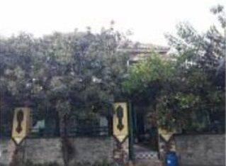 tampak depan rumah asri 2 lantai shm