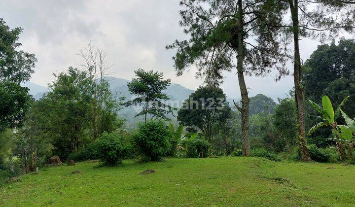 Kavling Komersial SHM 2,8 Ha di Jl. Cilember Cisarua Dekat Taman Wisata Matahari 1