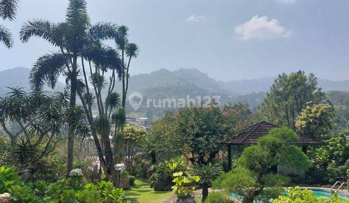 Rumah villa 1 Lantai SHM View Bagus Di Jl. Raya Puncak Tugu Bogor 2