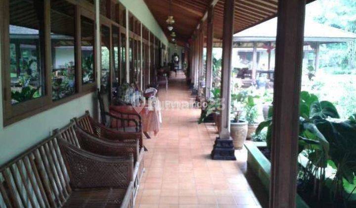 Villa yang luas dan produktif persawahan di Ciawi 5