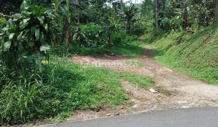 Villa yang luas dan produktif persawahan di Ciawi 9