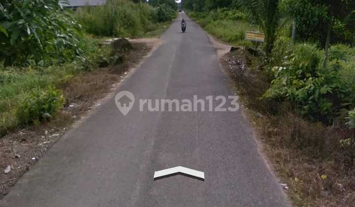 Dijual Tanah Diarea Gunung Tabur Kalimantan Timur 5