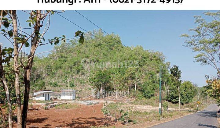 Jual Tanah Datar Pinggir Jalan Aspal Provinsi Dan Jjls  1