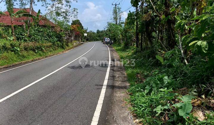 Sell Bung Biu Roadside Land, Suitable For Shops  2