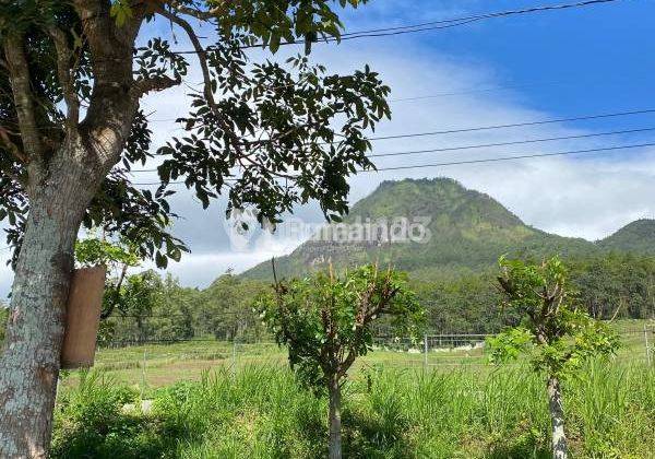 Azura Hills Hunian Sempurna Yang Menjanjikan Kenyamanan  1