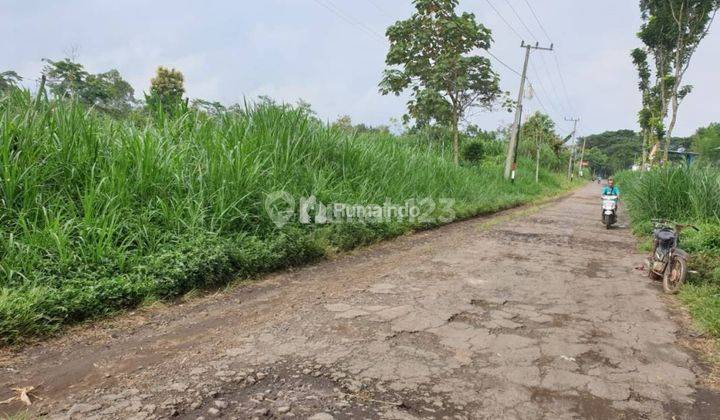 BU Jual Cepat Tanah Luas Produktif Potensial Di Pakis Malang 2