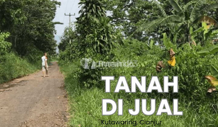 Tanah Dijual Murah Di Kutawaringin, Cianjur, Cocok Untuk Peternakan, Perkebunan, Dll Tanah Relatif Datar, View Bendingan Cirata di Kejauhan, Jika Cuaca Cerah 1