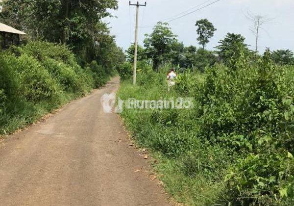 Tanah Dijual Murah Di Kutawaringin, Cianjur, Cocok Untuk Peternakan, Perkebunan, Dll Tanah Relatif Datar, View Bendingan Cirata di Kejauhan, Jika Cuaca Cerah 2