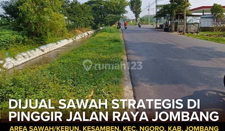 Dijual Sawah Strategis di Pinggir Jalan Raya Jombang Ngoro Malang 1