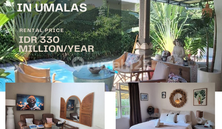 Charming Villa for Rent in Umalas Kuta Utara, Badung Charming Villa for Rent in Umalas Kuta Utara, Badung