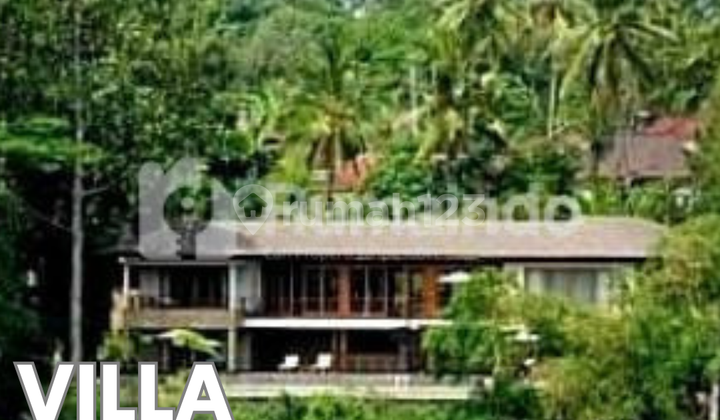 FOR SALE LUXURY VILLA WITH SPECTACULER VIEW OF AYUNG RIVER, JUNGLE, VALLEY & MOUNTAIN IN UBUD BALI. FOR SALE LUXURY VILLA WITH SPECTACULER VIEW OF AYUNG RIVER, JUNGLE, VALLEY & MOUNTAIN IN UBUD BALI.