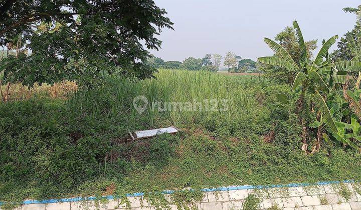 Dijual Sawah Strategis di Pinggir Jalan Raya Jombang Ngoro Malang 2