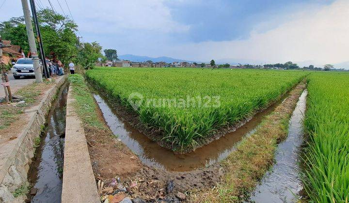 Jual Cepat Tanah Matang Cocok Untuk Perumahan Di Banjaran Bandung 1