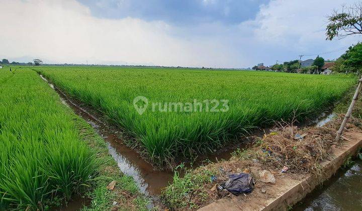 Jual Cepat Tanah Matang Cocok Untuk Perumahan Di Banjaran Bandung 2