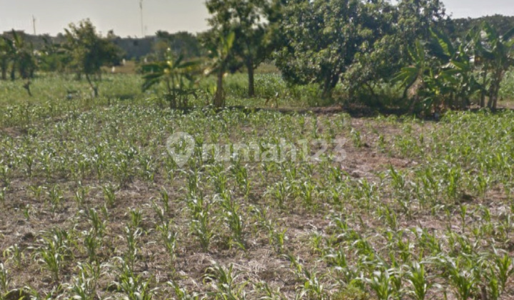 Tanah Made Dempsey Hill Citraland Sambikerep