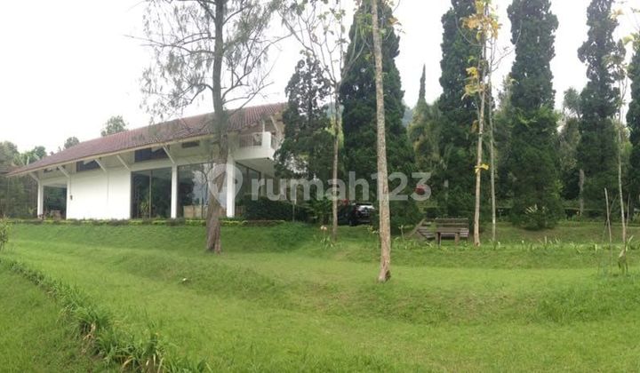 Villa Jalan Kramat, Trawas, Mojokerto
