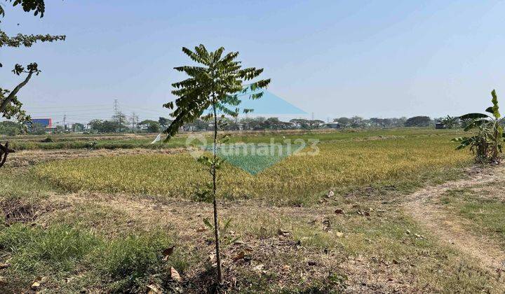 panduJono Raya Banjarsari Tol Cerme 2