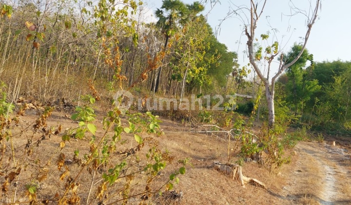 Merakurak, Tegalrejo, Tuban, East Java