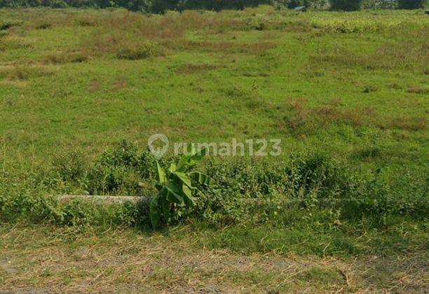 Dijual Murah 50% dibawah appraisal Tanah di Pandan minohorejo SHM 2