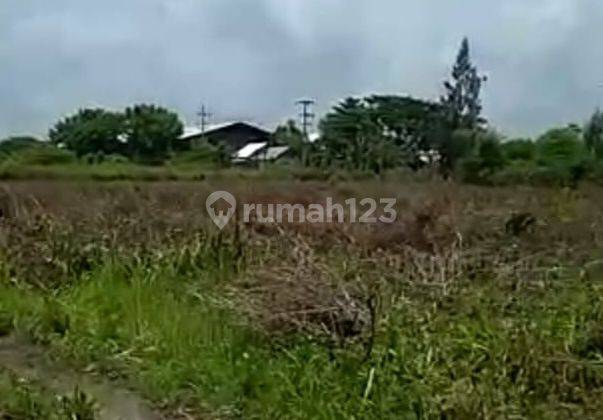 Dijual Tanah zona industri di Widang tuban 40.000 m² SHM 4