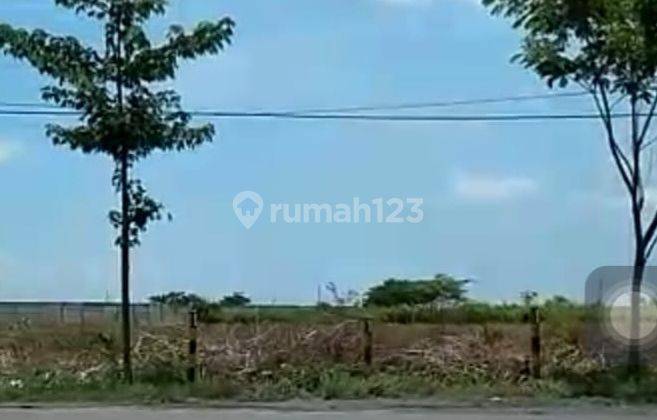 Dijual Tanah zona industri di Widang tuban 40.000 m² SHM 5