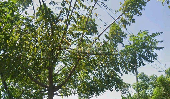 Dijual Tanah di Raya bandara juanda 7675 m² SHM 1