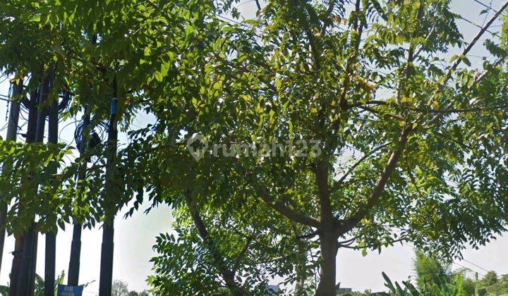 Dijual Tanah di Raya bandara juanda 7675 m² SHM 2