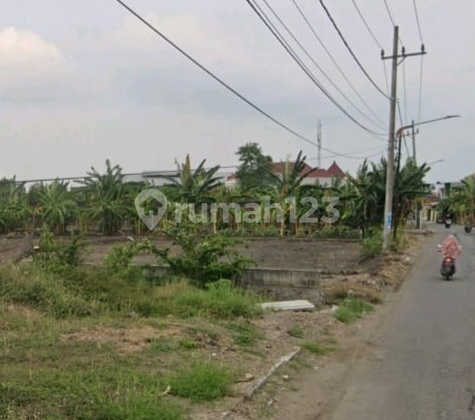 Land for Sale in Pakal Madya near North West and Palma Hill SHM