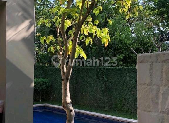 Isen International Living Near Hokky 2