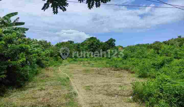 Jimbaran Kuta Sel Dekat Movenpick Jimbaran Kuta Sel Dekat Movenpick