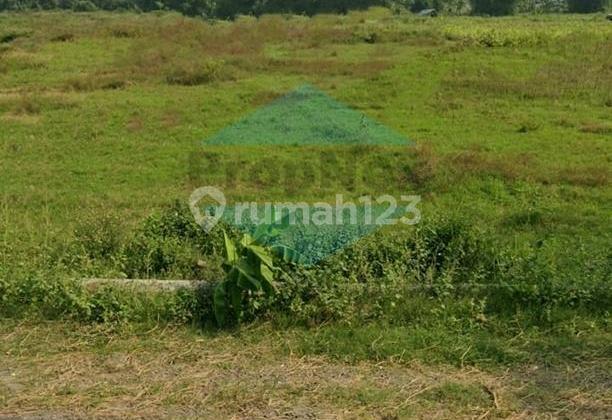 Raya Pantura , Raya Babat Tuban