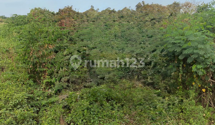 0 Geger Cerme Main Road, Gresik, East Java